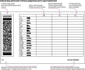 Так выглядит незаполненное удостоверение с обратной стороны.